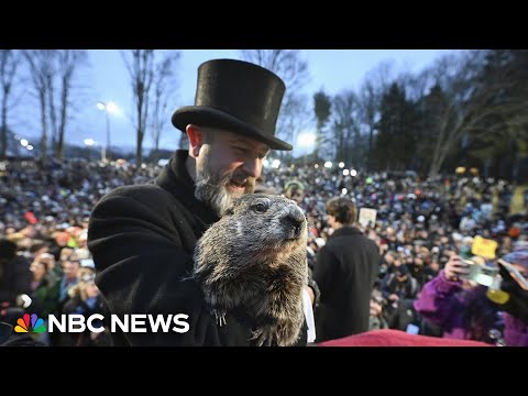 WATCH: Punxsutawney Phil makes 2025 Groundhog Day prediction | NBC News