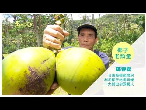 草地狀元-台東椰子老頑童(20160613播出)careermaster / Coconut Master