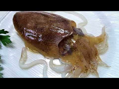 How to Clean Small CUTTLEFISH in Real Time