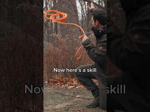 EVERYONE can use this !!