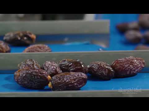 Medjool Dates Artificial Intelligence Process
