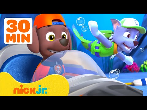 PAW Patrol's Best Water Missions and Rescues! 🌊 w/ Chase & Zuma | 30 Minutes | Nick Jr.