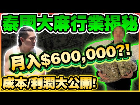 【大麻行業揭秘】港人在泰國賣大麻月賺$600,000,揭露行內危險真相🚫拍攝途中逃避警察👮 🚨!大麻再次被禁...?同行被騙三千萬?!泰國有甚麼危險嗎...?