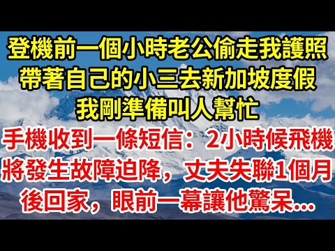 登機前一個小時老公偷拿走我護照，帶著自己的小三去新加坡度假，我剛準備叫人幫忙，手機收到一條短信：2小時候飛機將發生故障迫降。丈夫失聯1個月後回家，眼前一幕讓他驚呆...#正能量 #故事分享 #故事頻道