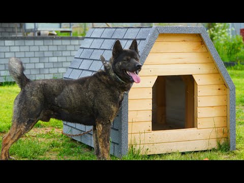 Do-it-yourself Dog House with HEATED FLOOR Timelapse Step by step instructions