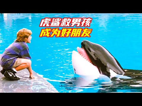 男孩摔暈進水池裏，竟然被巨型虎鯨救下來，兩人成爲好朋友；獵奇，奇幻，高分電影解説