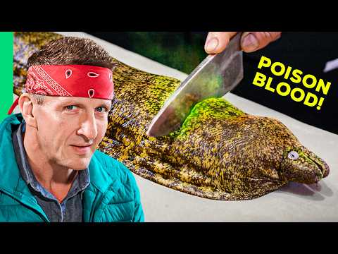 Eating Japan's Most DANGEROUS Fish!! (Armageddon-Level Diarrhea)
