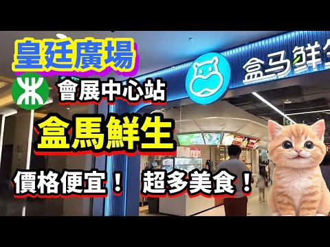 深圳 皇廷廣場 | 盒馬鮮生 | 價格便宜 | 超多美食 #深圳 #北上消費 #盒玩開箱 #深圳貝貝貓 