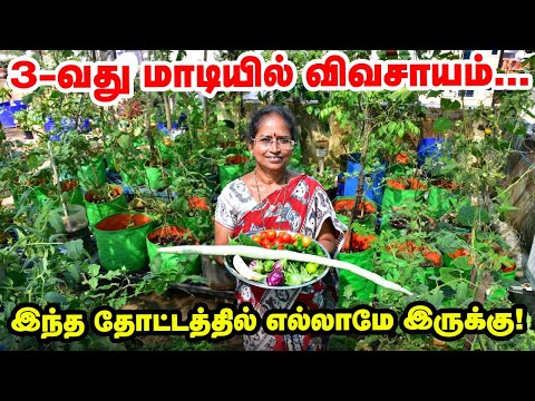 3-வது மாடியில் விவசாயம் - இந்த தோட்டத்தில் எல்லாமே இருக்கு | Pasumai Vikatan