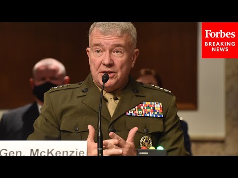 'Were You Present?': McKenzie Grilled Over Miller's Advice To Biden On Afghanistan