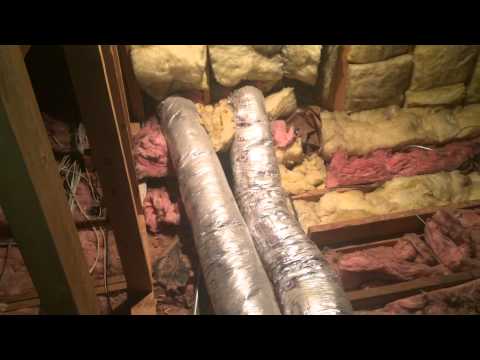 A Look At Attic Mold Problems, Why Attic Mold Exists, And How To Remove Attic Mold