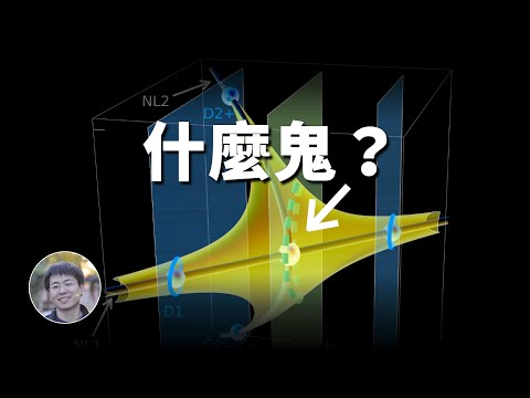 首次觀測到只在一個方向上有質量的粒子！了嗎？| 科學漫談 | Linvo說宇宙