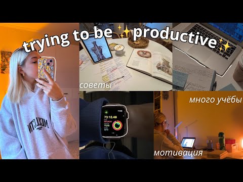 УЧЕБНЫЙ ВЛОГ| советы по продуктивности, много уроков, зачёты