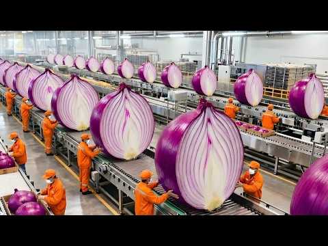 Inside the Largest U.S. Factory: How Millions of Tons of Onion Powder Are Made (Full Process)