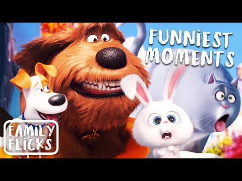 All-Time Funniest Moments in The Secret Life Of Pets Movies | Family Flicks