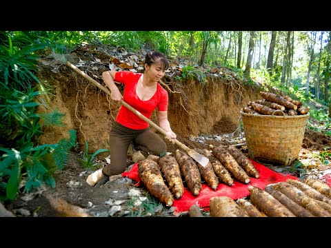 Harvesting 1000+ Wild Tubers in the Forest, Go to Countryside Market Sell – Living with Nature