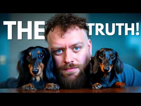 The Truth About DACHSHUNDS
