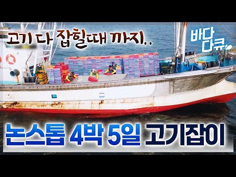 목표량 못 채우면 육지 못 간다. 망망대해에서 4일째... 3,000상자 다 채워야 집에 가는 논스톱 고기잡이배 / #바다다큐
