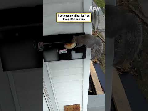 I bet your neighbor isn't as thoughtful as mine