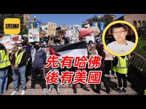 袁Sir聊哈佛大学：为自由去支持哈马斯，对吗？#lifeano漫聊 250607