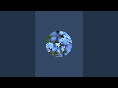 Bhakti Sagar & Gardening ideas is live