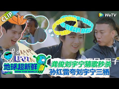 【地球超新鲜CLIP】：龚俊刘宇宁猜歌秒杀全场！孙红雷大夸刘宇宁是三栖艺人！#刘宇宁 #龚俊 #陈赫 #李乃文 #孙红雷