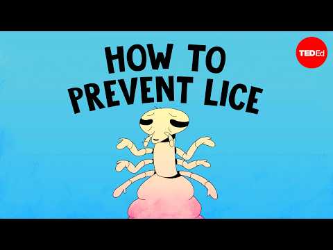 This is the most common way to get head lice - Nazzy Pakpour