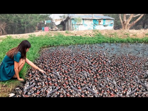 Momentos na Natureza Que Acontecem uma Vez em um Bilhão