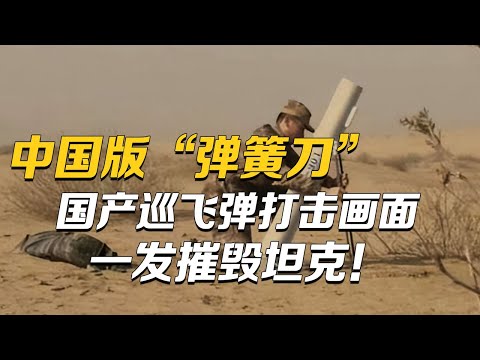 中国版“弹簧刀”!解放军公开国产巡飞弹打击画面:飞鸿-901一发摧毁重型坦克!飞鸿-97A具备人工智能技术 搭配巡飞弹让敌人防不胜防!「空天铁拳:第13集」| 军迷天下