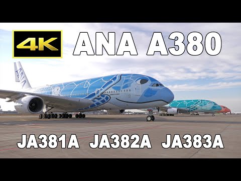 [4K] ANA Airbus A380 "FLYING HONU" - JA381A, JA382A, JA383A - at Tokyo Narita Airport / 成田空港