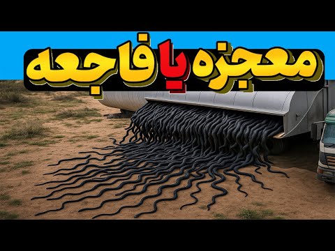 اونا برای نجات اکو سیستم صدها مار قاتل رو آزاد کردن  - همه مسخره کردن ولی 2 سال بعد دنیا بهت زده شد!