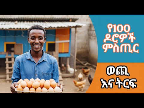 የ100 ዶሮዎች ሙሉ ወጪ እና ትርፍ ተብራራ