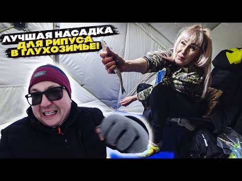 Лучшая Насадка Для Ловли Рипуса в Глухозимье. Поклевки рипуса онлайн.