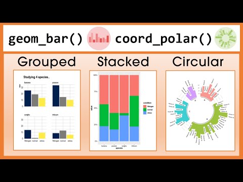 Advanced Bar Chart in R Tutorial: Grouped, Stacked, Circular (R Graph Gallery)