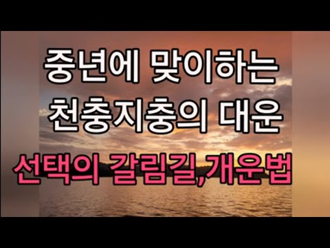 40~50대 중년의 천충지충 대운