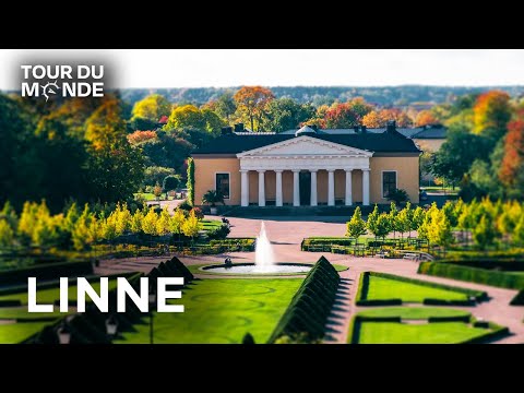 À la Découverte de la SUEDE Botanique : Jardin de Linné  l Jardins d'ici et d'ailleurs l BT