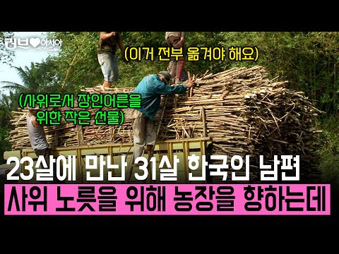 한국인 사위의 작은 선물. 23살에 한국으로 시집간 딸 결혼식도 못 간 장모님. 그런 장모님을 위해 농장으로 향하는 사위 [러브인아시아] | KBS 2013.09.10