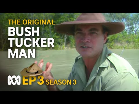 How Burke and Wills might have survived 🤠🗺️ | Bush Tucker Man | S3 EP3 | ABC Australia