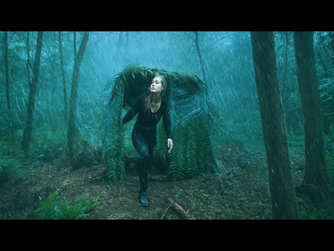 Build a shelter from light rain with plastic wrap/renovate an abandoned shelter