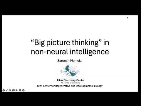 "Big picture thinking in non-neural intelligence" by Santosh Manicka