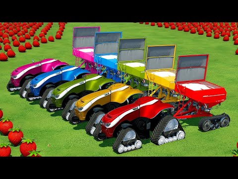 PLOW & SPREAD LIME AND TRANSPORT STRAWBERRY WITH CASE TRACTORS - Farming Simulator 22