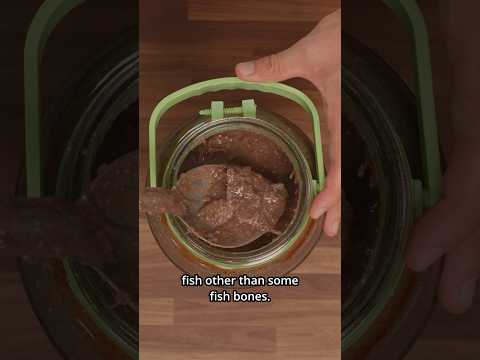 3 MONTHS FERMENTING RAW MACKEREL