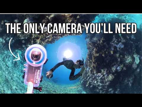 The Best Diving Camera : testing Insta360 X4 Underwater Footage