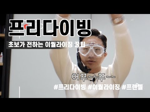 프리다이빙 초보가 전하는 주의사항과 이퀄라이징 꿀팁