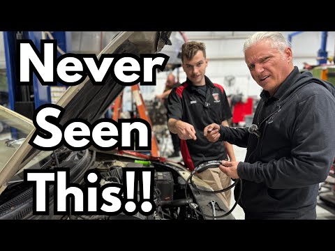 She Just Got Her Belts Replaced, But They’re Still Squealing! Amazon Strikes Again?! 