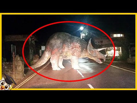 10 Wymarłych zwierząt, które ludzie uważają za wciąż żywe