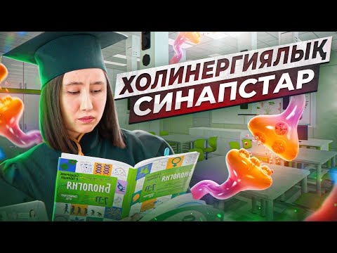 Холинергиялық синапстар | ҰБТ Биология 2026