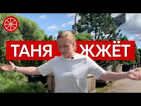 Секреты правильного выбора растений для сада: экспертное руководство С ЮМОРОМ #сад