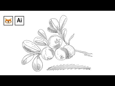 Как нарисовать скетч в Adobe Illustrator при помощи кистей