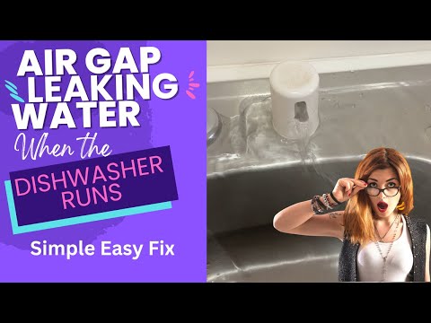Air Gap Leaking Water When Dishwasher Runs